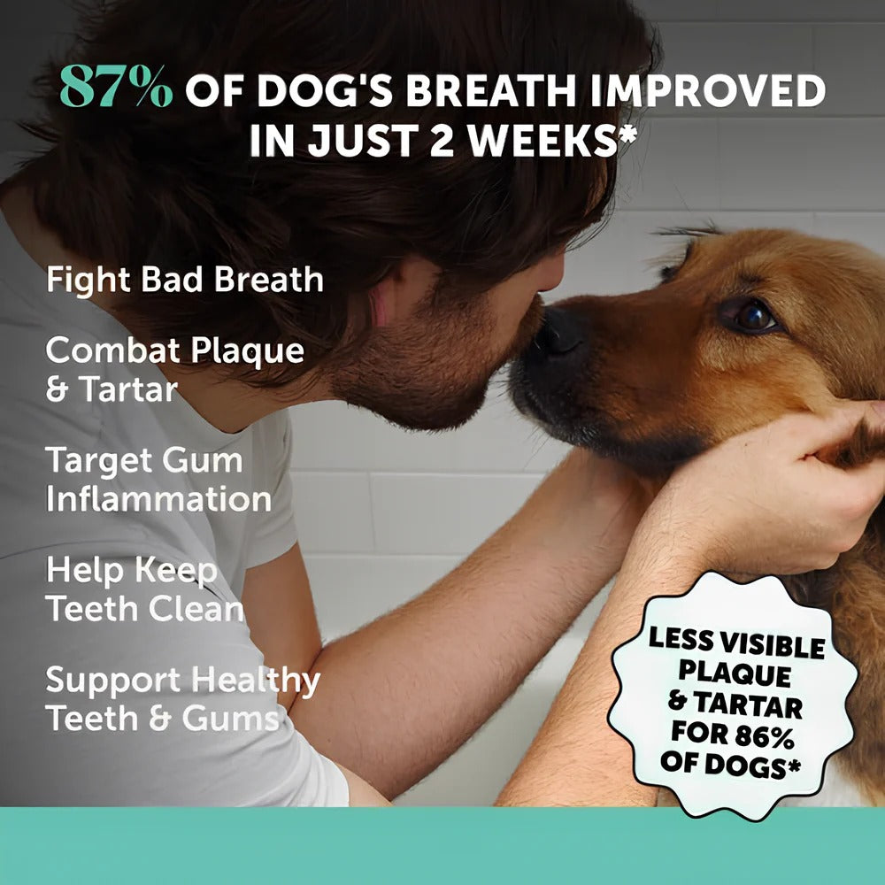 Pawmise Pet Dental Powder