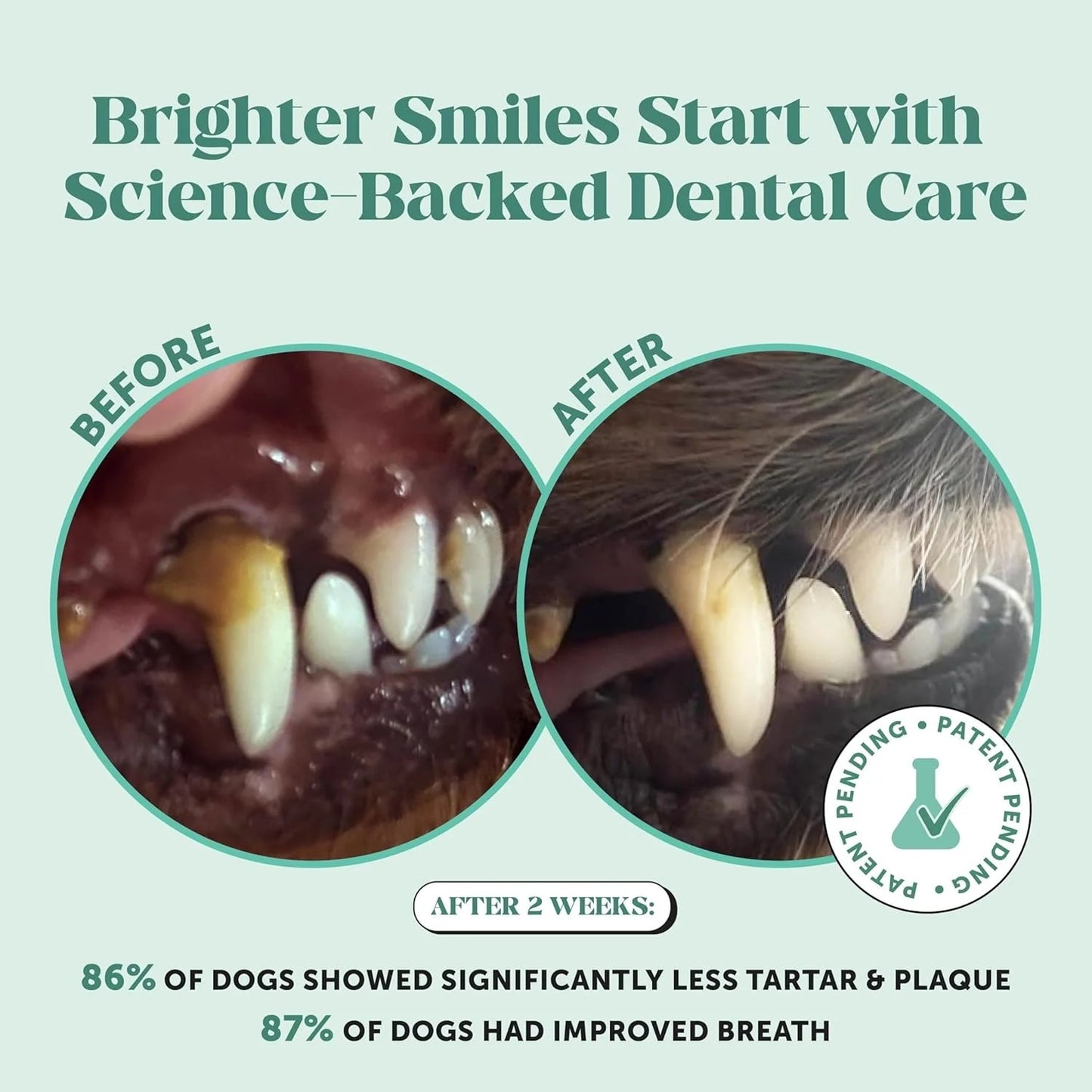 Pawmise Pet Dental Powder