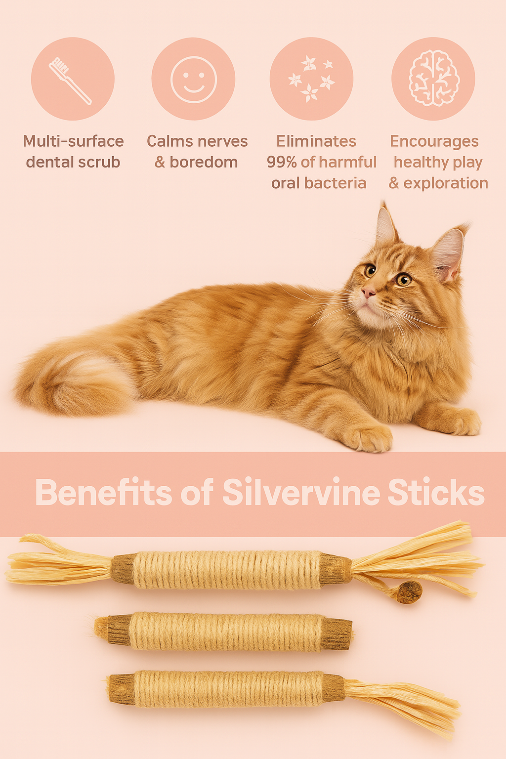 Pawmise Silvervine Dental Chew Sticks