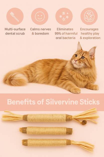Pawmise Silvervine Dental Chew Sticks