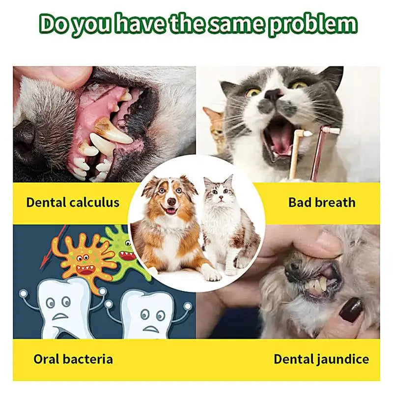 Pawmise Pet Dental Powder