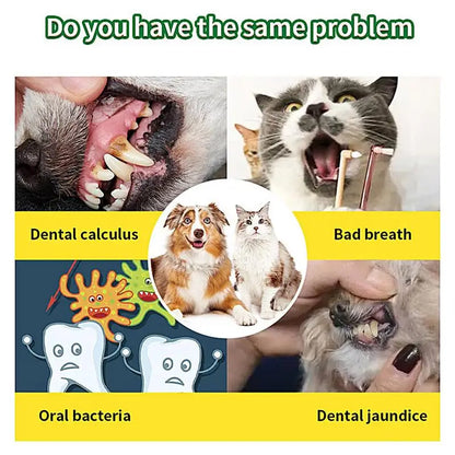 Pawmise Pet Dental Powder