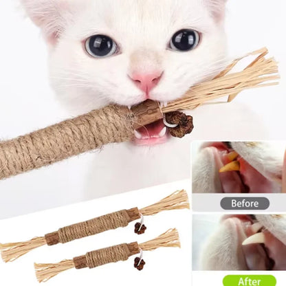 Pawmise Silvervine Dental Chew Sticks