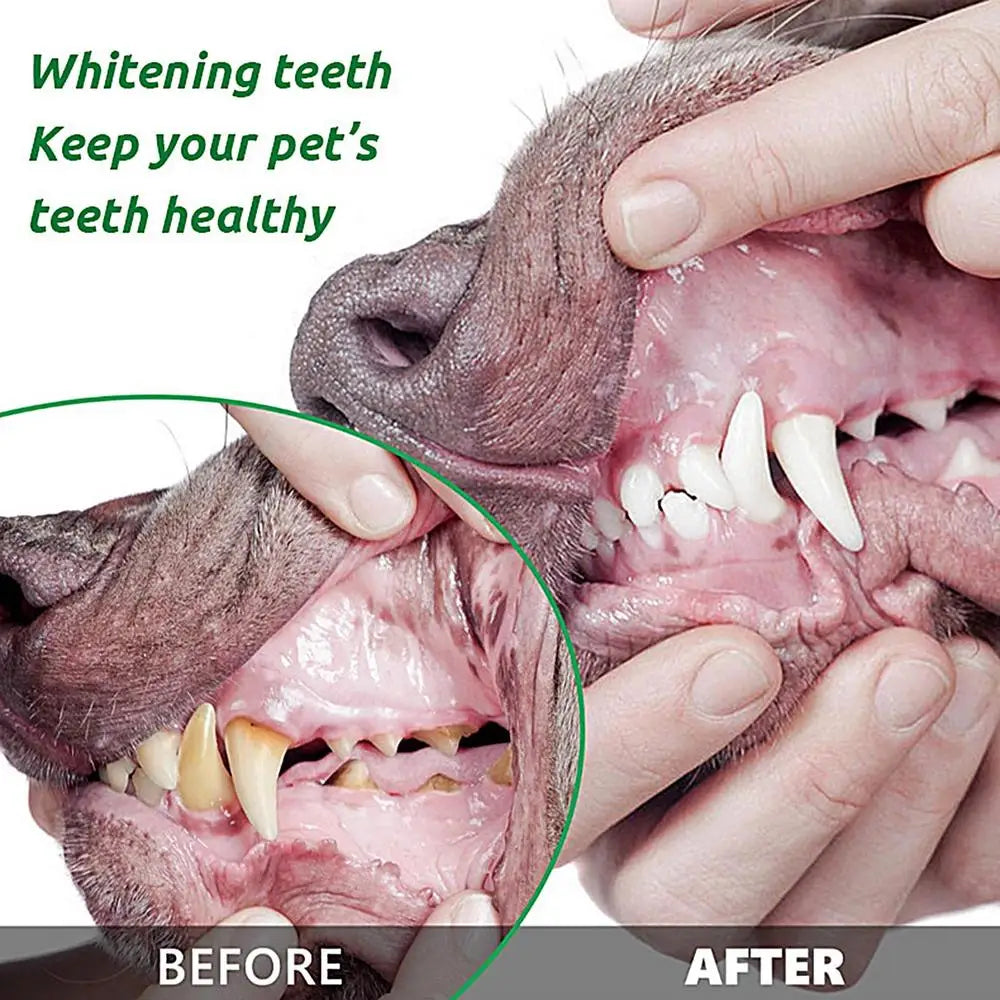 Pawmise Pet Dental Powder