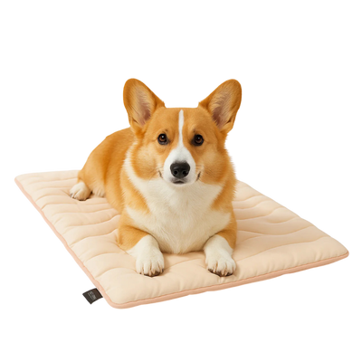Pawmise